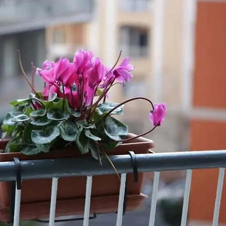 Apartman La Collina Di Parthenope Vomero *
