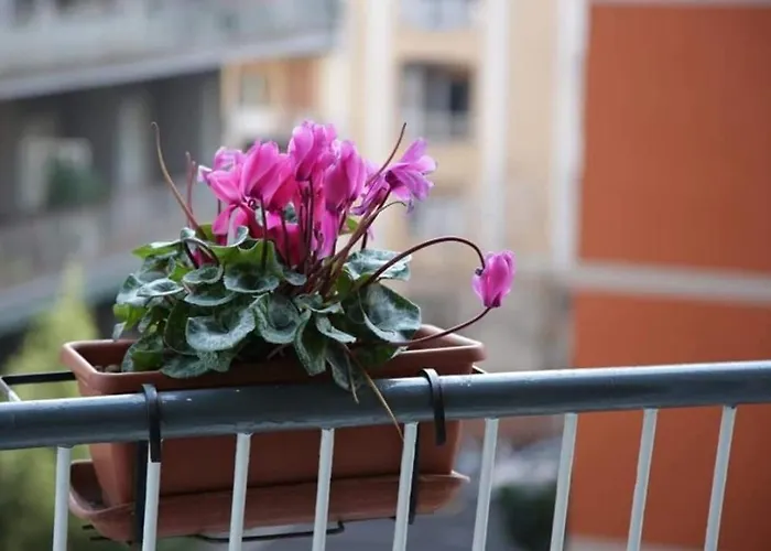Apartman La Collina Di Parthenope Vomero *